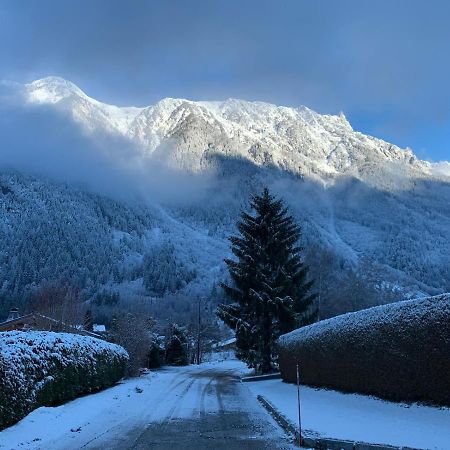 Superbe Chalet-11 Personnes-Chamonix Bagian luar foto